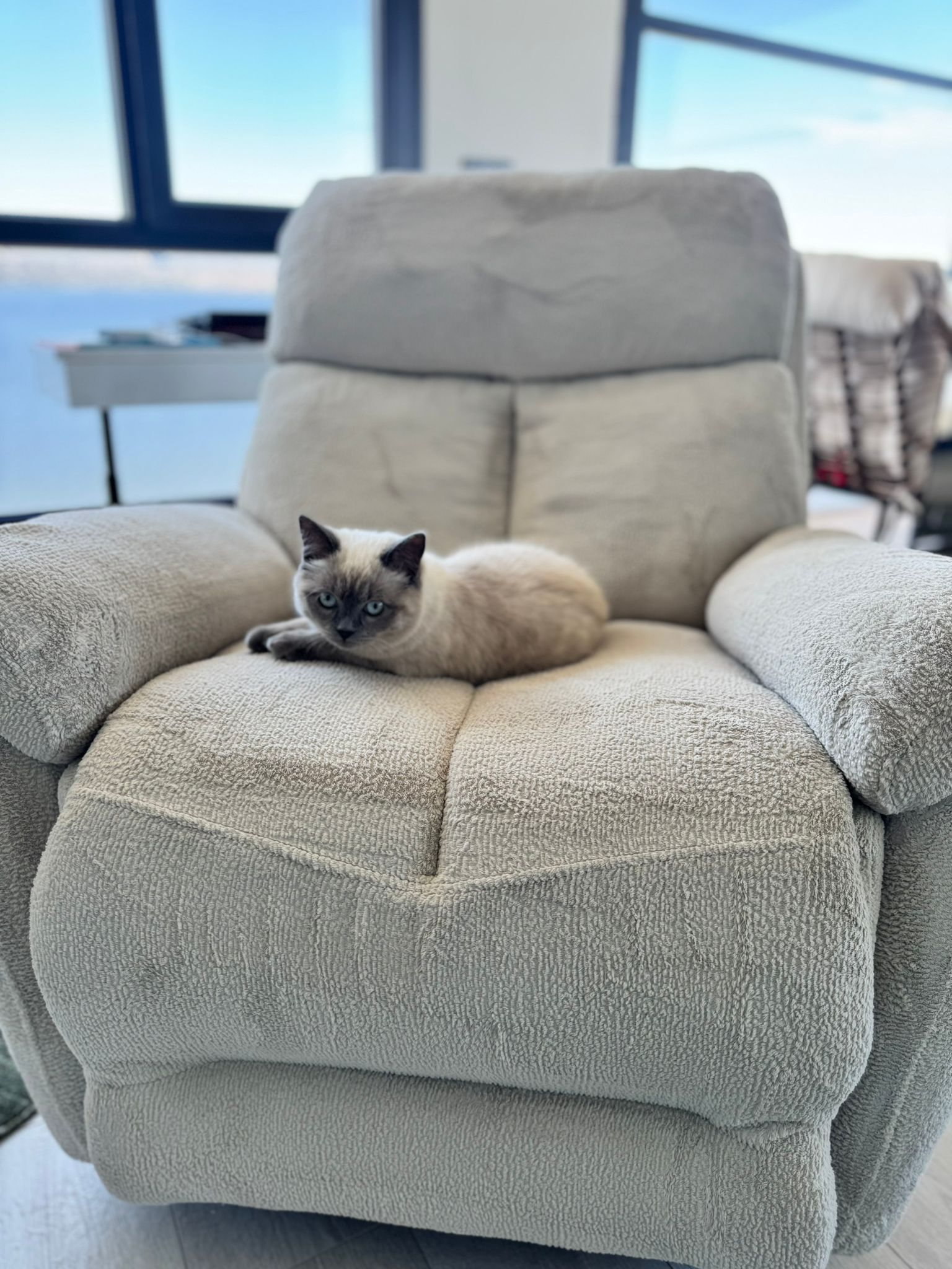 Tüylerden Arındırılmış Konfor